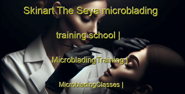 Skinart The Seya microblading training school | MicrobladingTraining | MicrobladingClasses | SkinartTraining-the Democratic Republic of the Congo